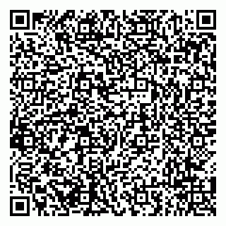 vCard 79294010733