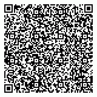 vCard 79294010741