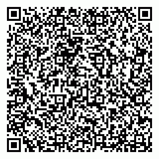 vCard 79294010749