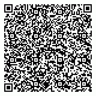 vCard 79294010763