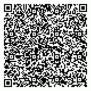 vCard 79294010771