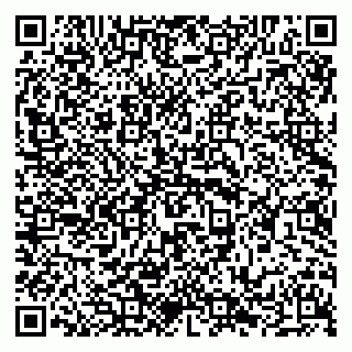 vCard 79294010799