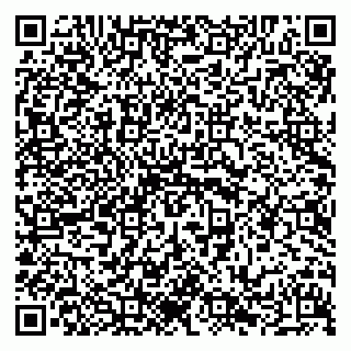 vCard 79294011039