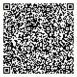vCard 79294011102