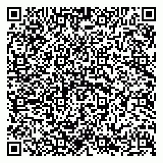 vCard 79294011201