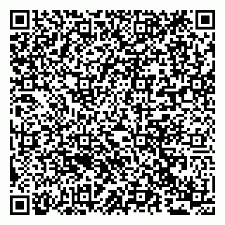 vCard 79294011206