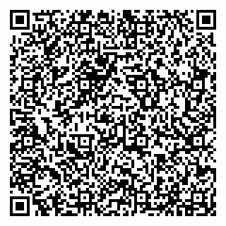 vCard 79294011263