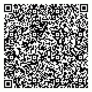 vCard 79294011295