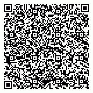 vCard 79294011302