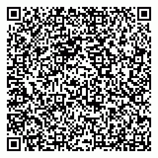 vCard 79294011306