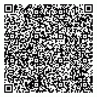 vCard 79294011503