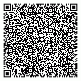 vCard 79294011739