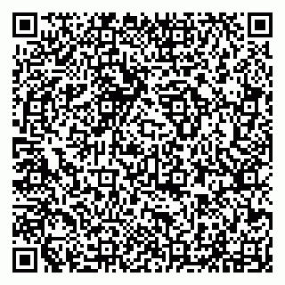 vCard 79294011873