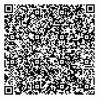 vCard 79294012002