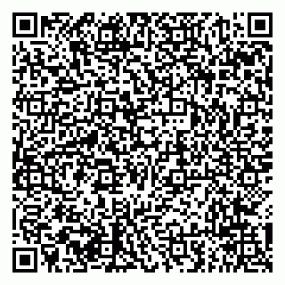 vCard 79294012003