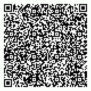 vCard 79294012005