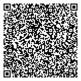 vCard 79294012139