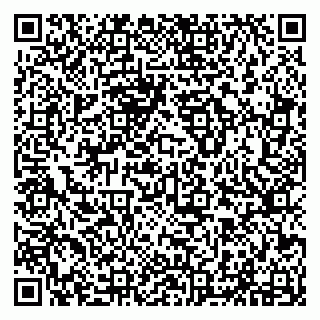 vCard 79294012173