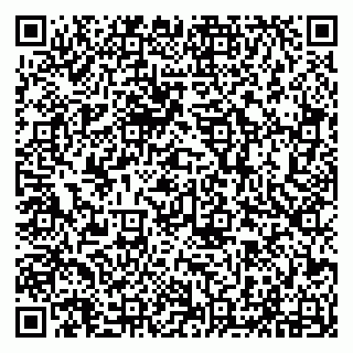 vCard 79294012181