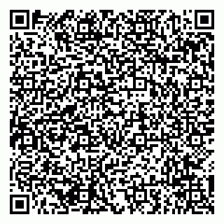 vCard 79294012182