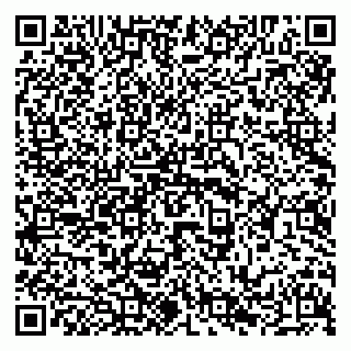 vCard 79294012199