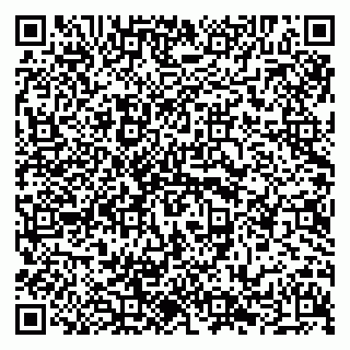 vCard 79294012539