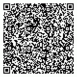 vCard 79294012639