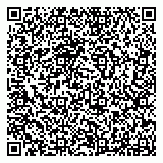vCard 79294012739