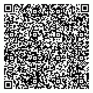 vCard 79294013203