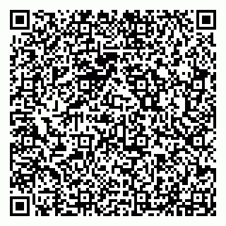 vCard 79294013207