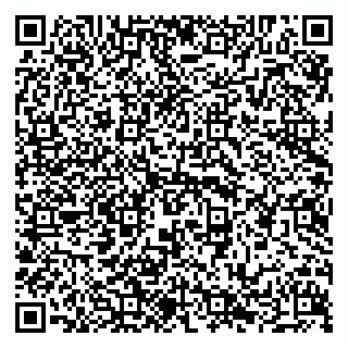 vCard 79294013255