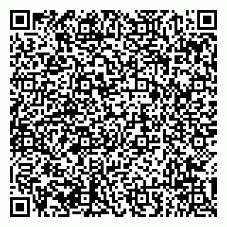 vCard 79294013299