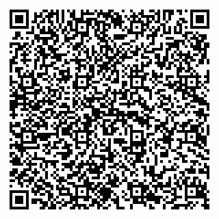 vCard 79294013301