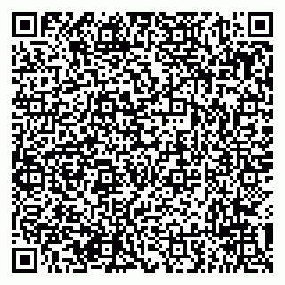 vCard 79294013333