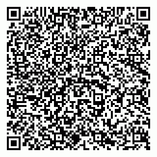 vCard 79294013371