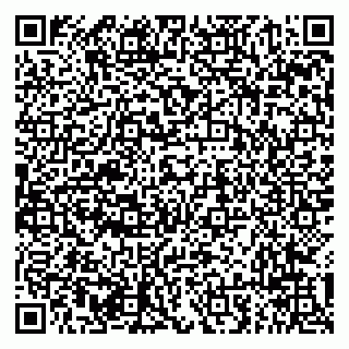 vCard 79294013400