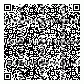vCard 79294013401