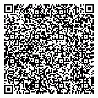 vCard 79294013402