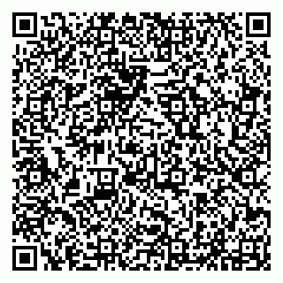 vCard 79294013403