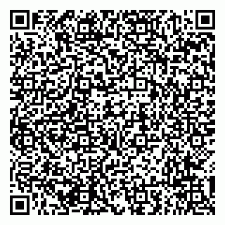 vCard 79294013411