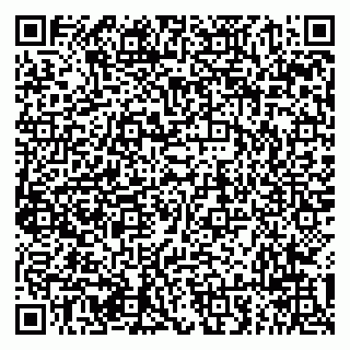 vCard 79294013417