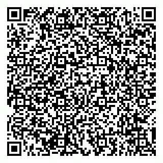 vCard 79294013419