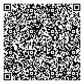vCard 79294013433