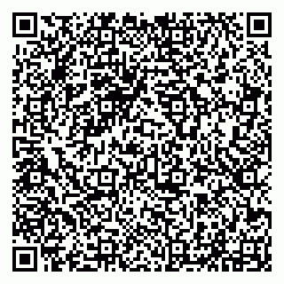 vCard 79294013450