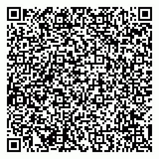 vCard 79294013481