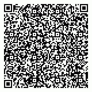 vCard 79294013485