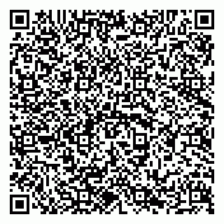 vCard 79294013602