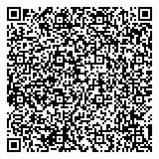 vCard 79294013702