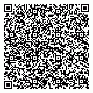 vCard 79294013733