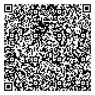 vCard 79294013739